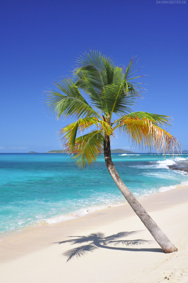 Karibik - Traumstrand auf Palm Island