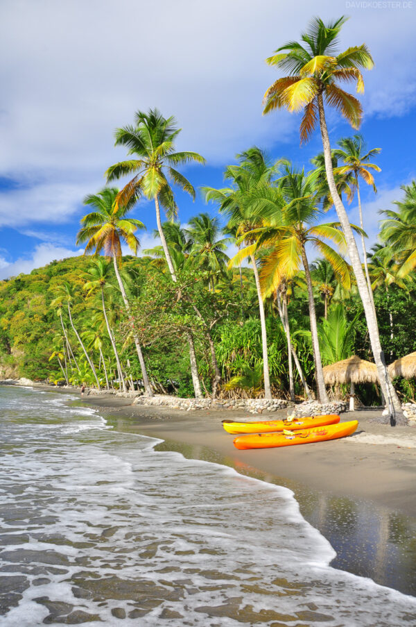 Karibik - Palmenstrand auf St. Lucia