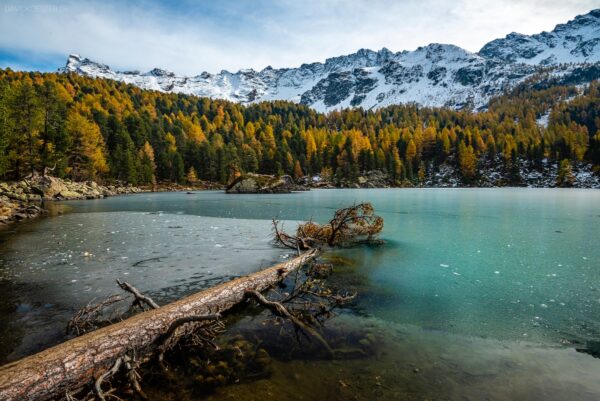 Schweiz - Lagh da Saoseo im Herbst, Val da Camp