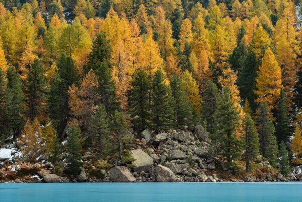Schweiz - Val di Campo, Lago di Saoseo