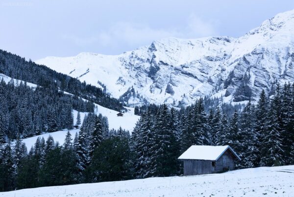 Schweiz - Winter in Adelboden