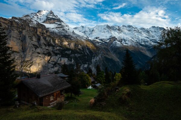 Schweiz - Almdorf Mürren mit Jungfrau und Mönch