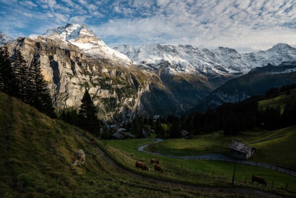 Schweiz - Alm mit Eiger, Jungfrau und Mönch, Mürren