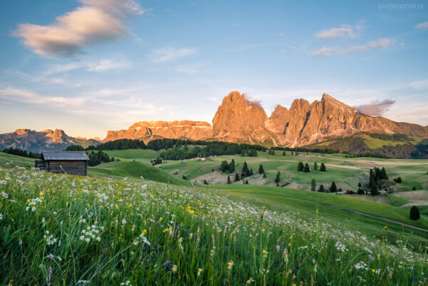 Dolomiten - Frühjahr auf Seiser Alm (Alpe di Suisi), Südtirol