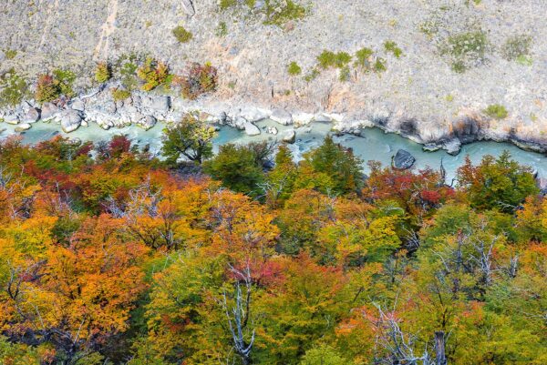 Patagonien - Rio de la Vueltas im Herbst