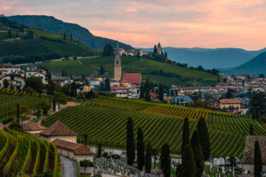 Dolomiten - Weinberge in Tramin, Südtirol
