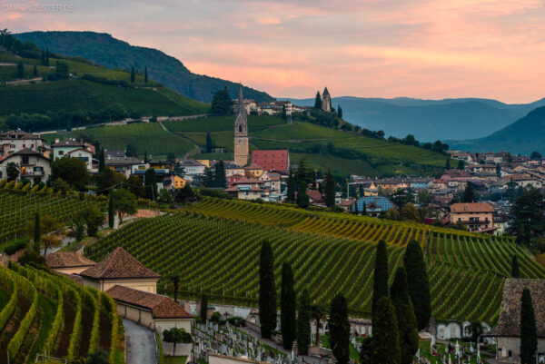 Dolomiten - Weinberge in Tramin, Südtirol