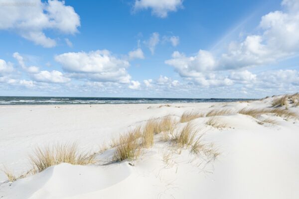 Deutschland - Strand in bei Prerow, Zingst Darß Fischland