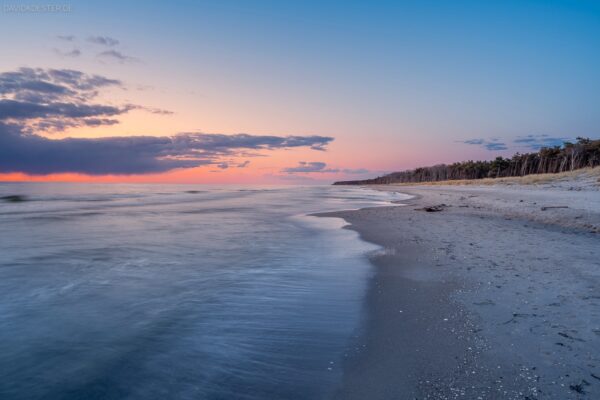 Deutschland - Weststrand mit Darßer Urwald, Zingst Darß Fischland