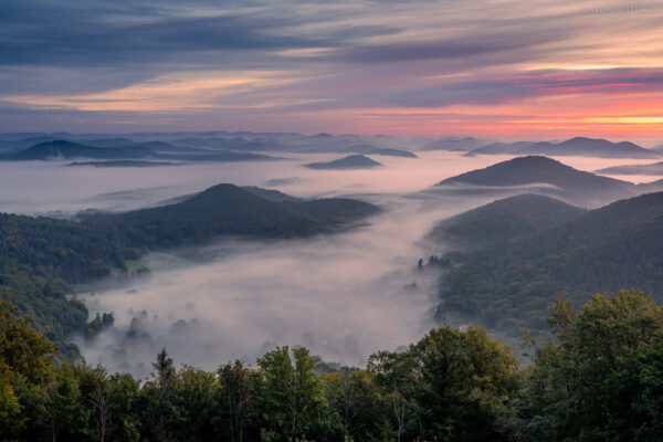 Nebel über dem Pfälzerwald und den Vogesen, Wasgau, Rheinland-Pfalz