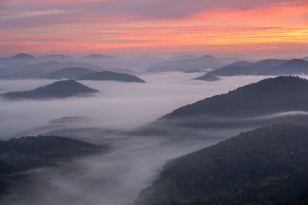 Morgennebel über dem Pfälzerwald, Nothweiler, Rheinland-Pfalz, Deutschland