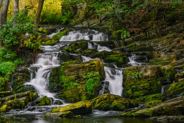 Deutschland - Selkefall, Harz, Sachsen-Anhalt