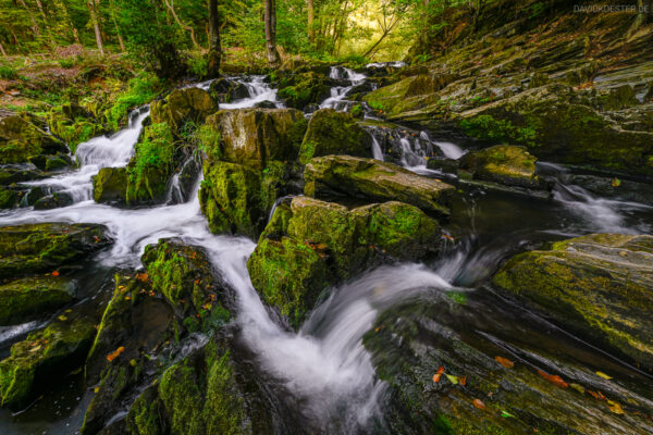 Deutschland - Selkefälle Harz, Sachsen-Anhalt