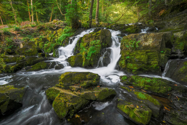 Deutschland - Selkefälle Harz, Sachsen-Anhalt