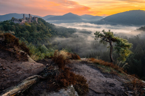 Deutschland - Burgruine Altdahn, Pfälzerwald, Rheinland-Pfalz